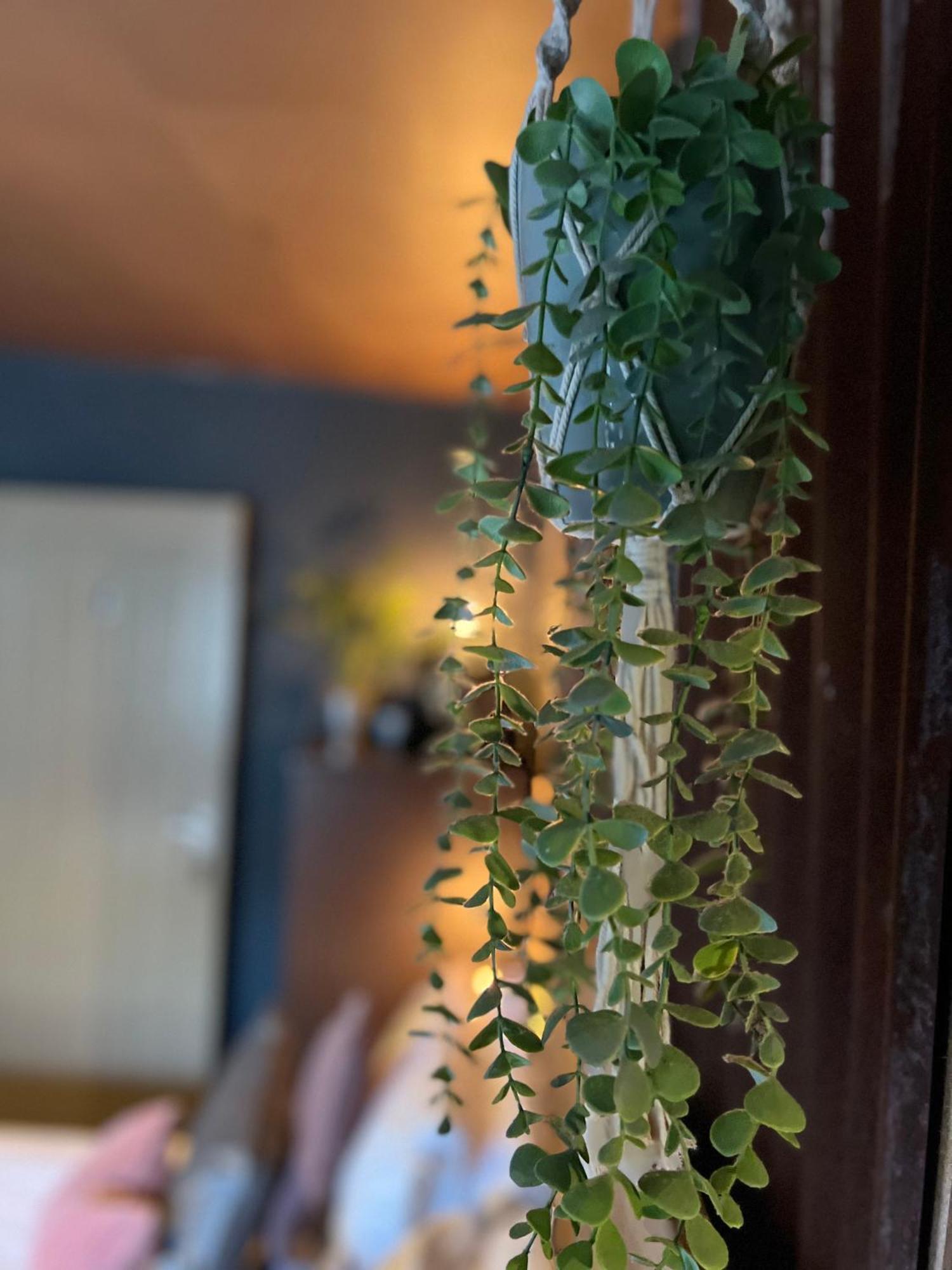 Watergate Yard Bed & Breakfast Слийфорд Екстериор снимка